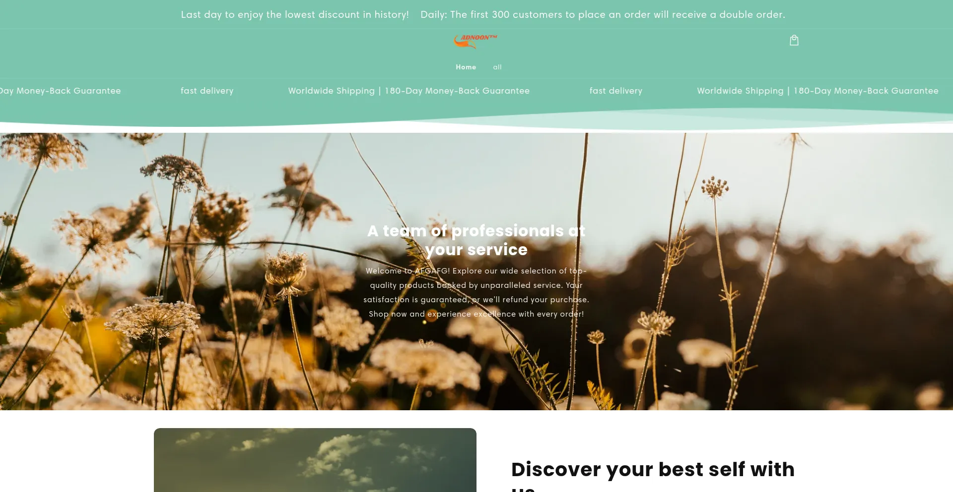 Website screenshot of Biowavecare.com