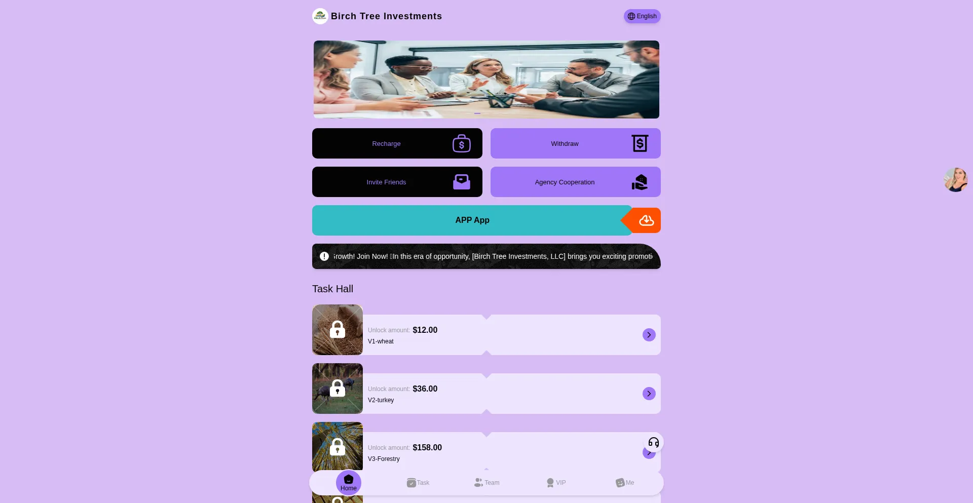 Birchtree-investments.com