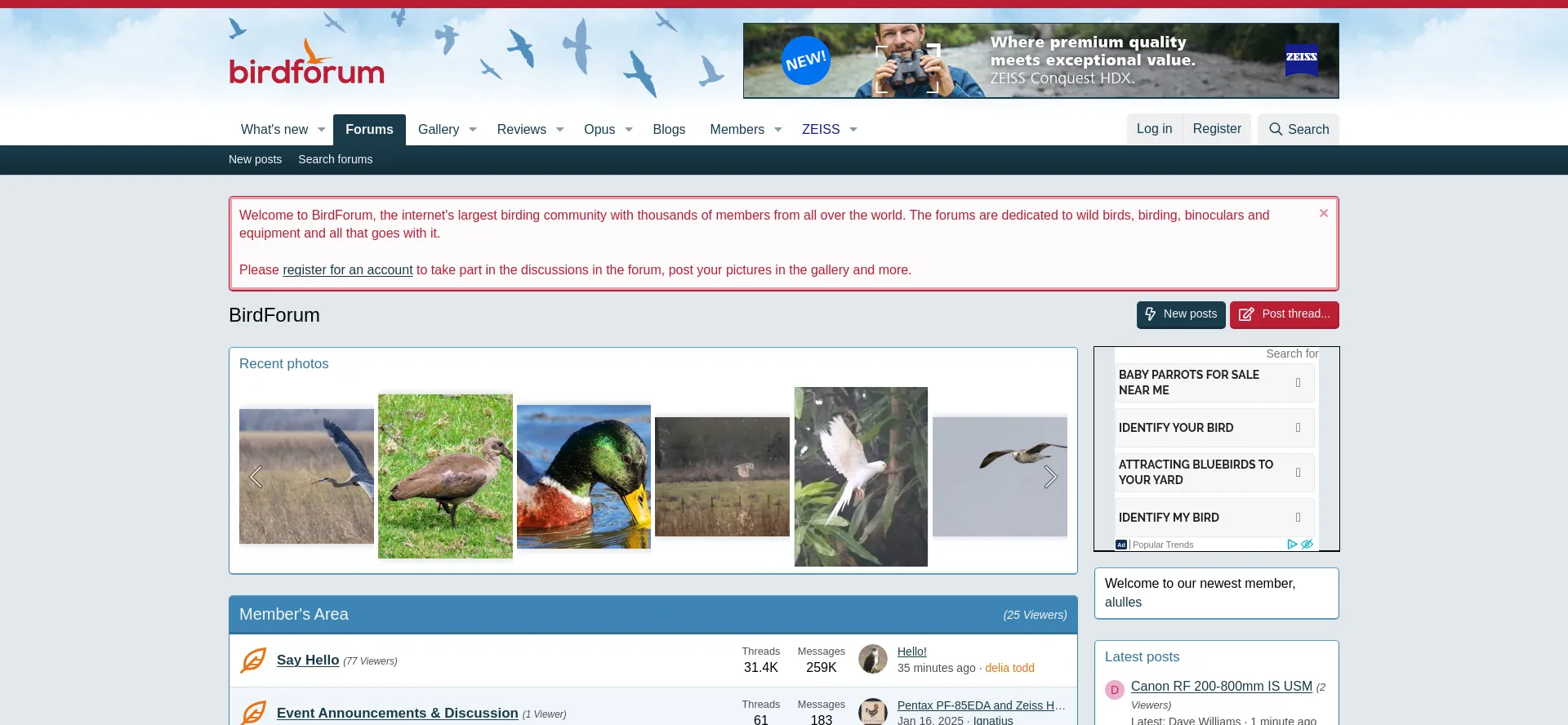 Birdforum.net