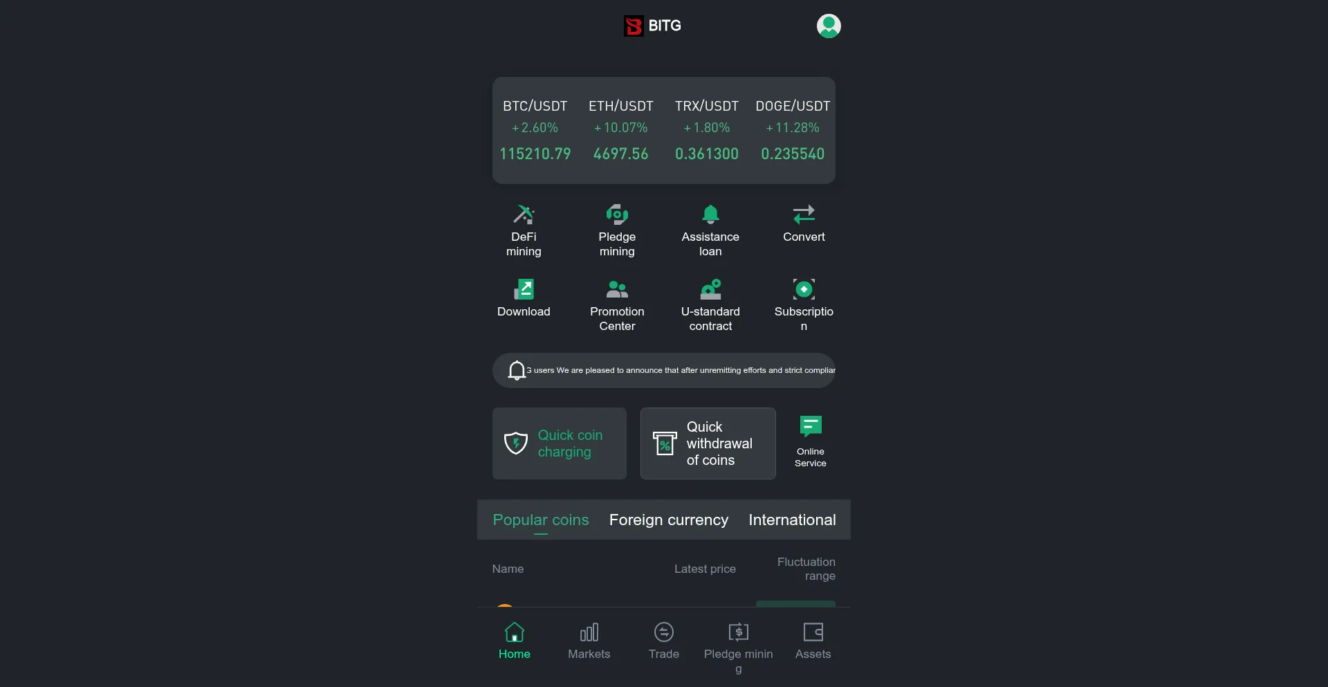 Website screenshot of Bitgcoinex.top