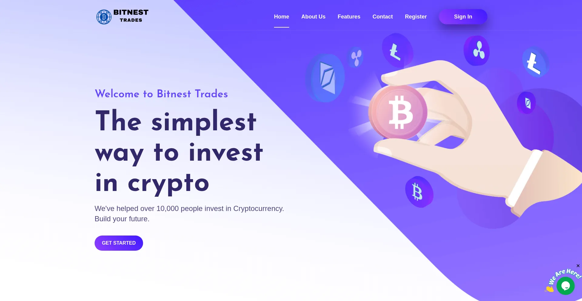 Website screenshot of Bitnesttrades.com