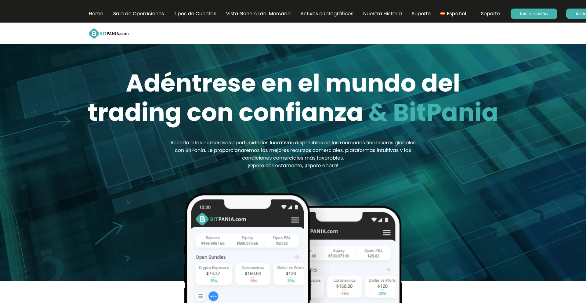Website screenshot of Bitpania.com