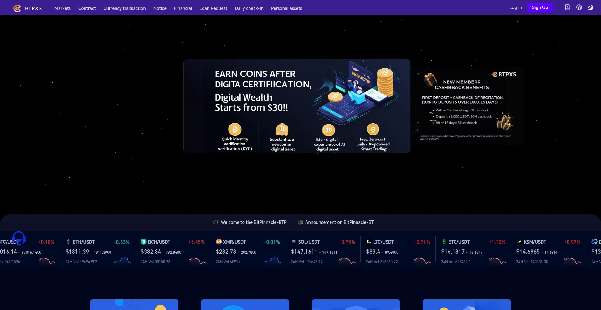 Website screenshot of Bitpinnaclegroup.com