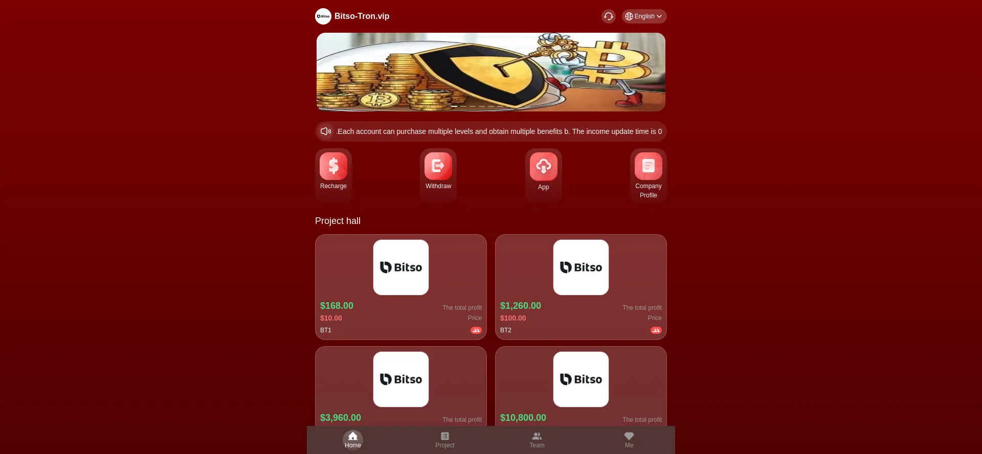 Website screenshot of Bitso-tron.vip