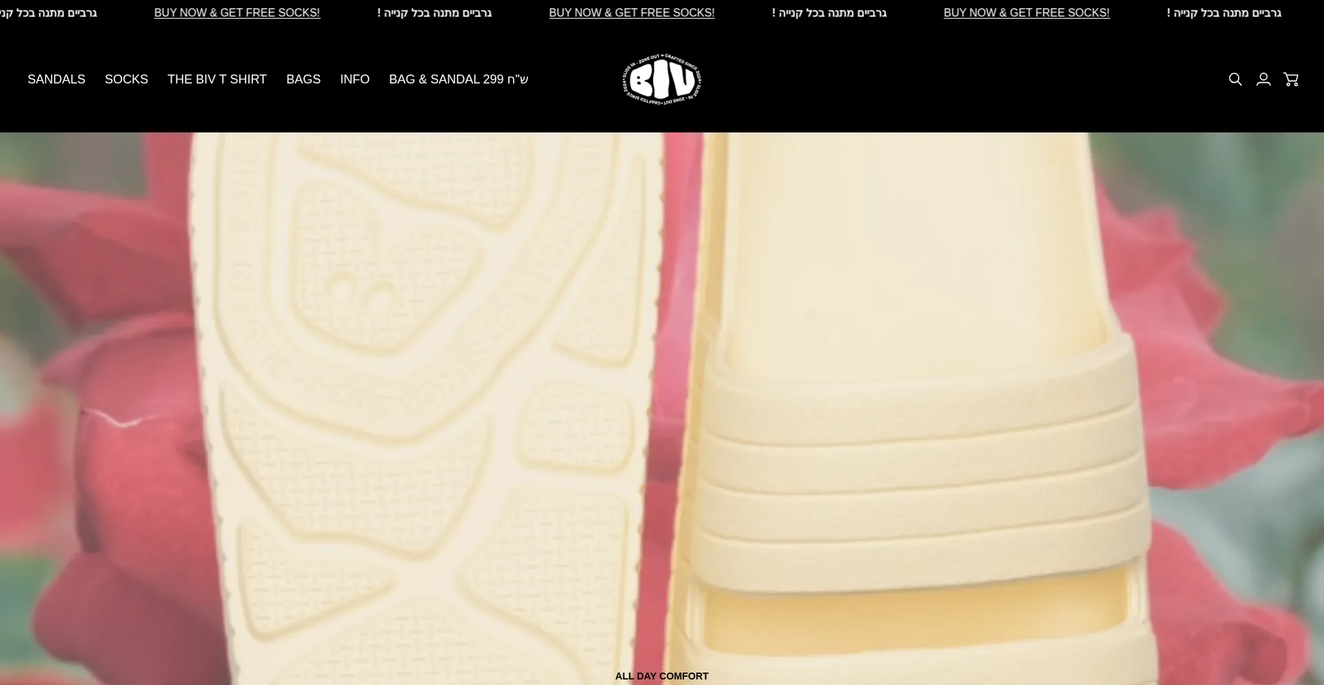 Bivstreet.com