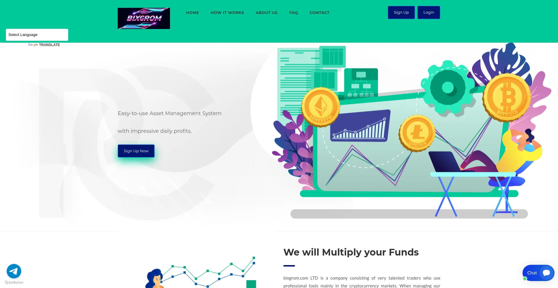 Website screenshot of Bixgrom.com