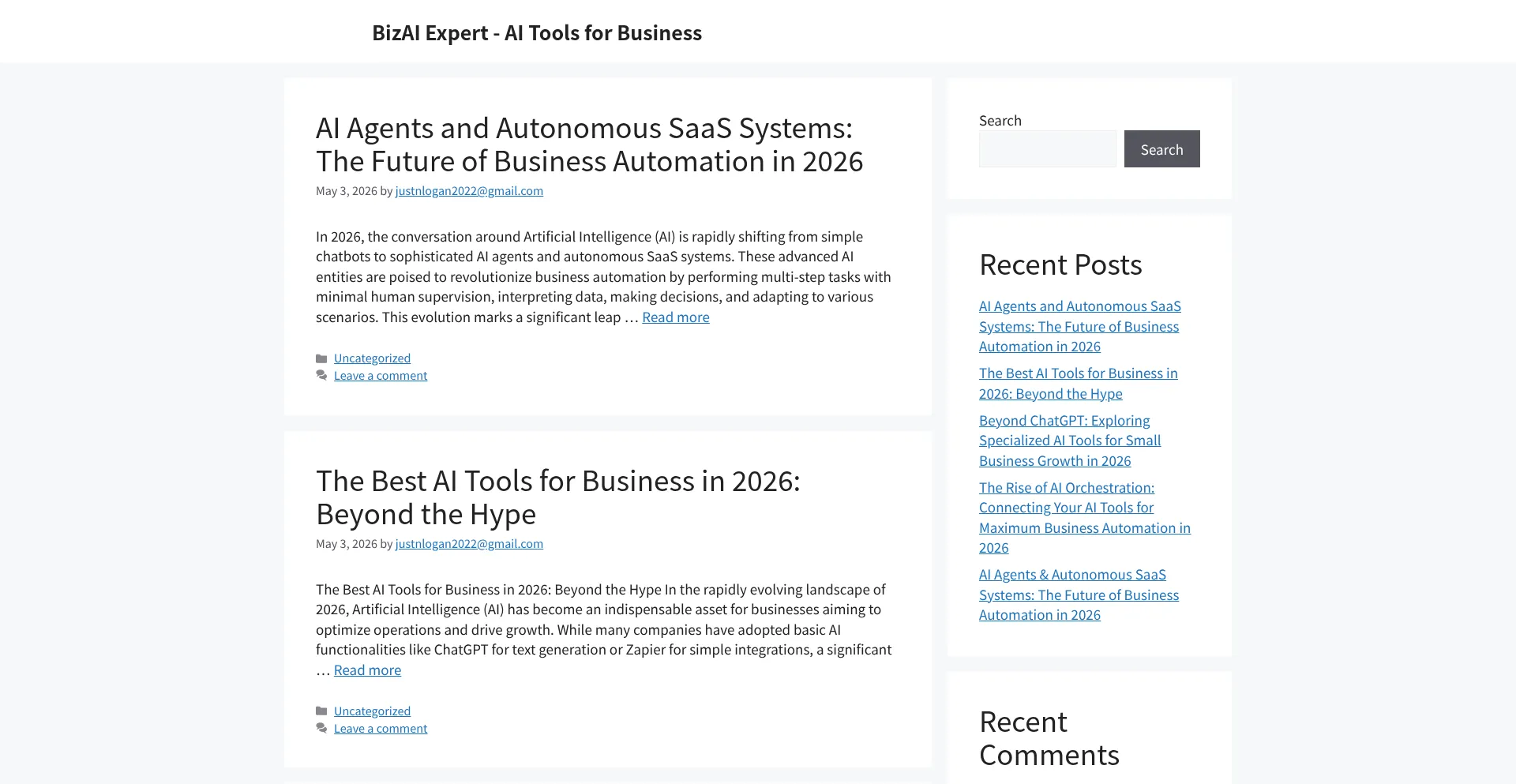 Bizaiexpert.com