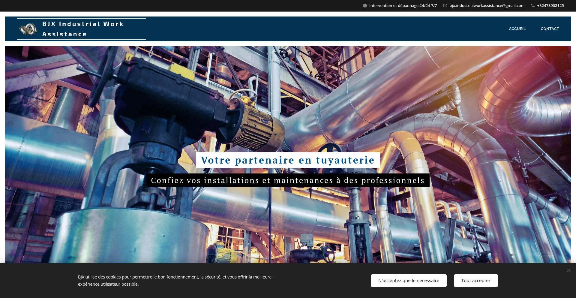 Bjx-industrial-work-assistance.be Screenshot