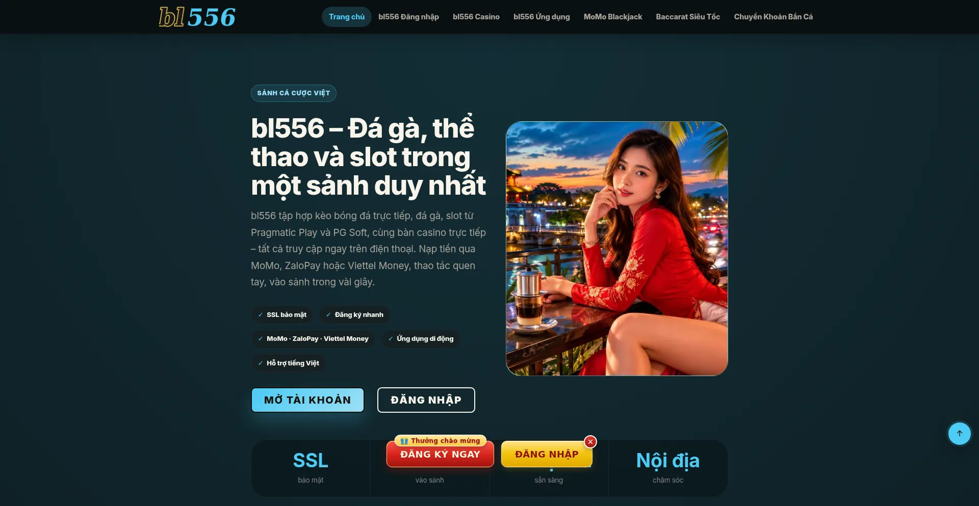 Bl556.asia