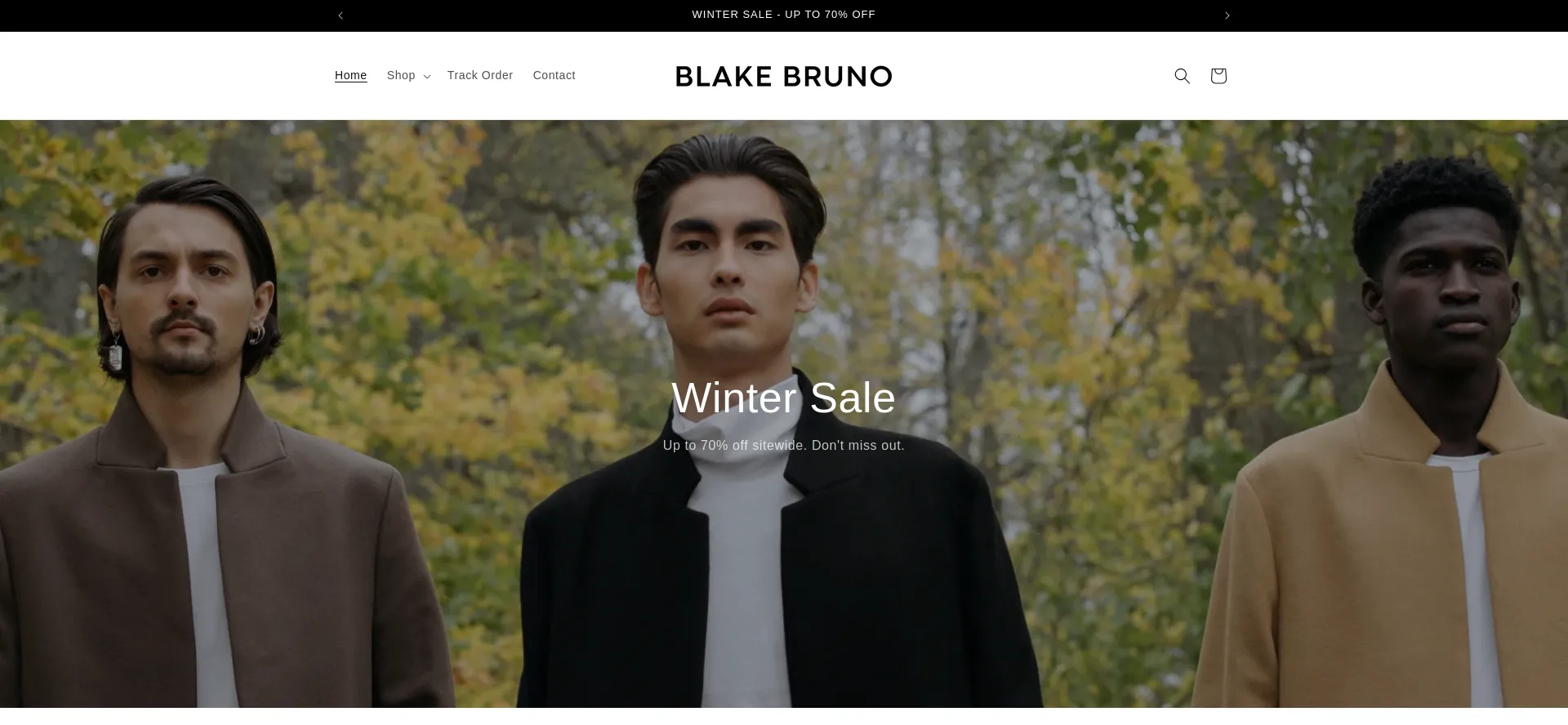 Blakebruno.com