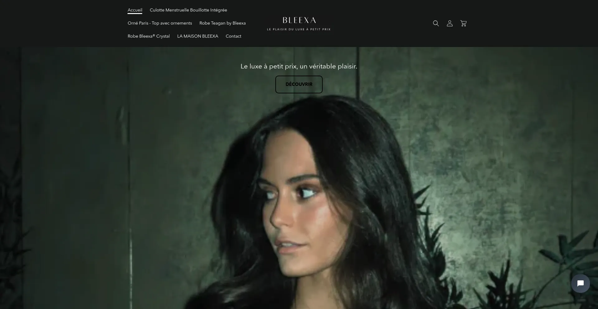 Website screenshot of Bleexa.fr