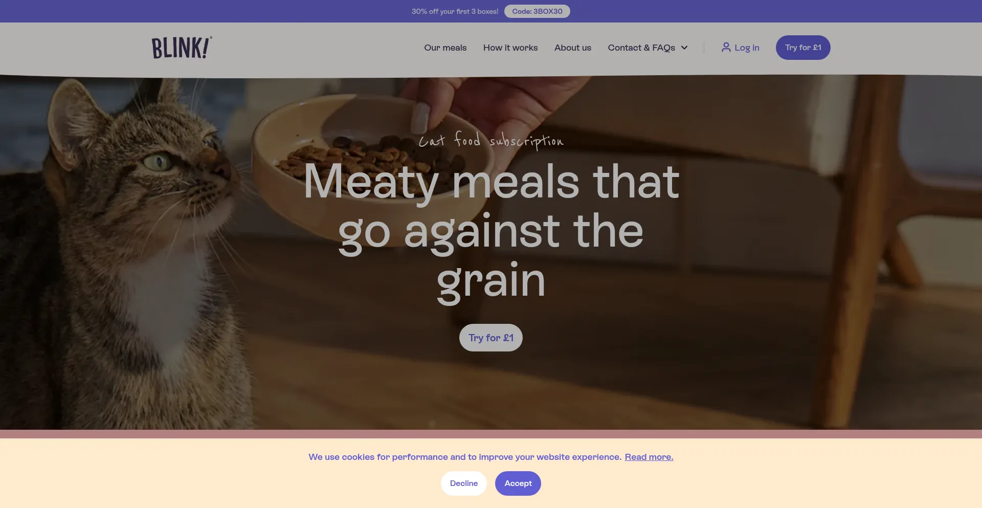 Blinkcats.co.uk Screenshot