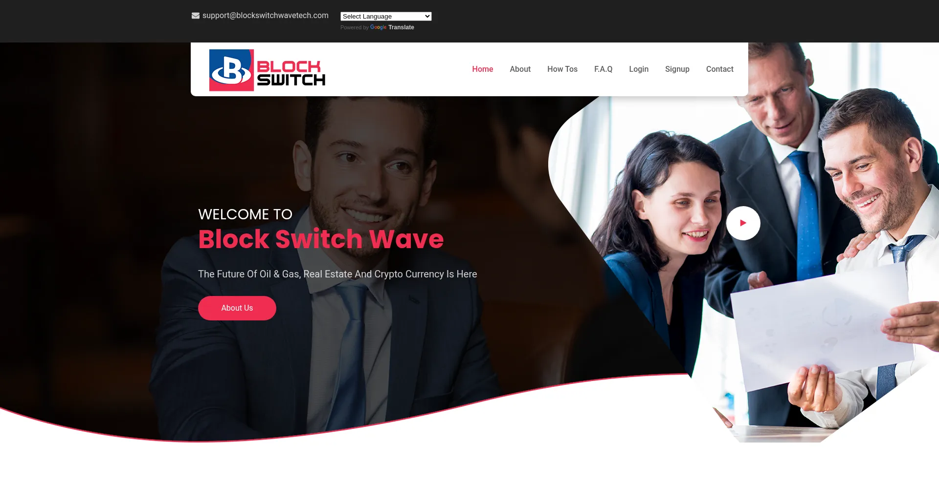 Website screenshot of Blockswitchwavetech.com