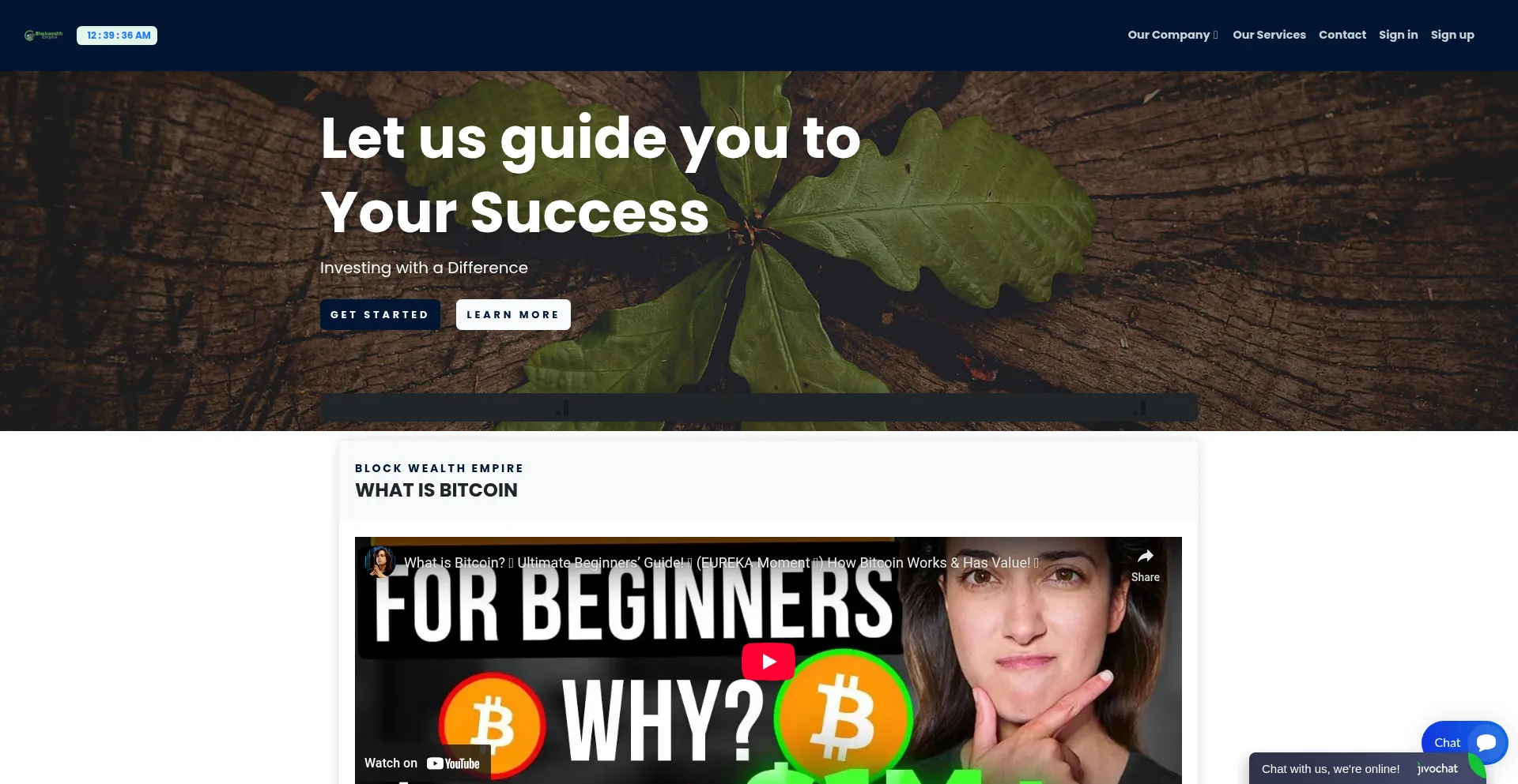 Blockwealthempire.com Screenshot