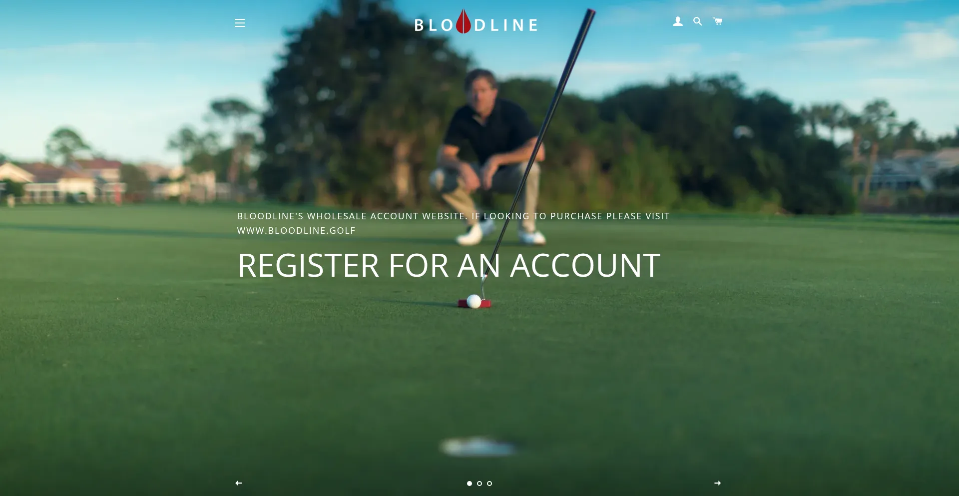 Website screenshot of Bloodlineputter.com