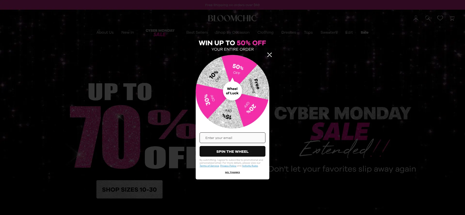 Website screenshot of Bloomchic.com