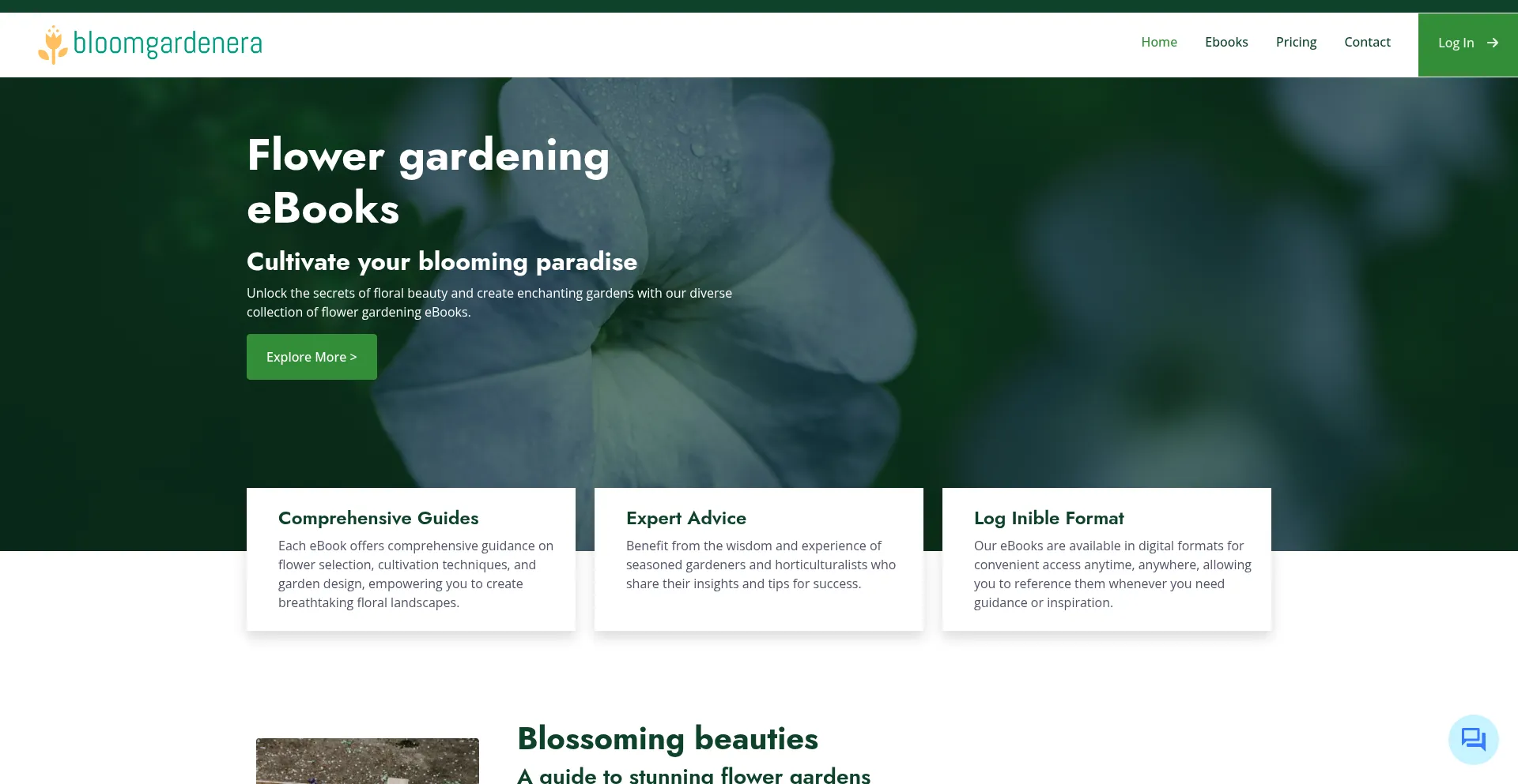 Website screenshot of Bloomgardenera.com
