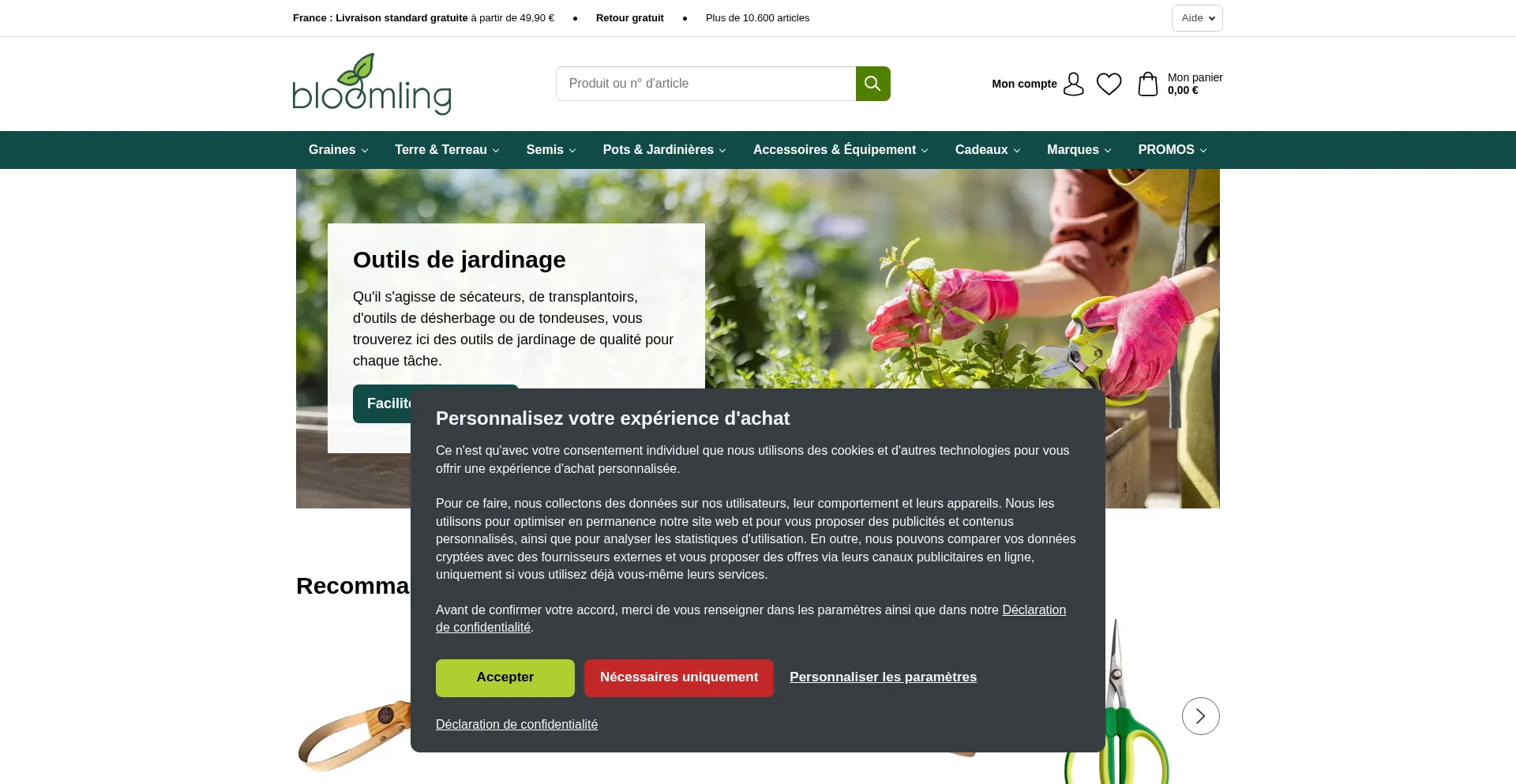 Website screenshot of Bloomling.fr