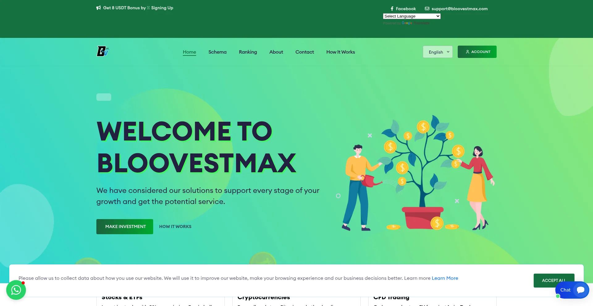 Website screenshot of Bloovestmax.com