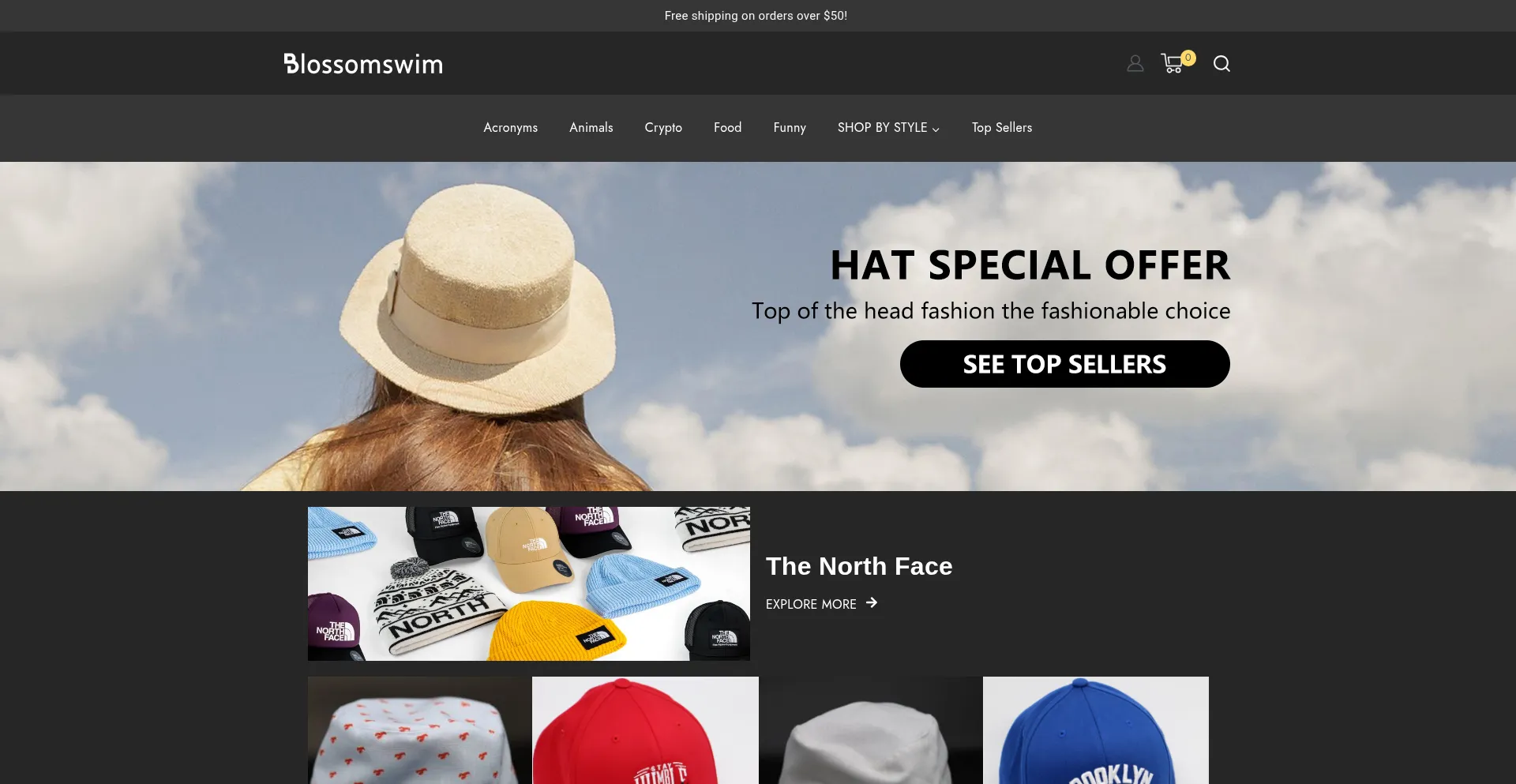 Website screenshot of Blossomswim.com