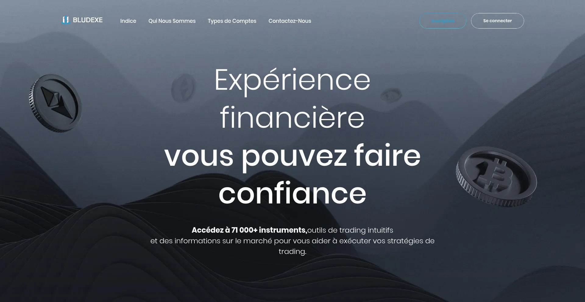 Website screenshot of Bludexe.org