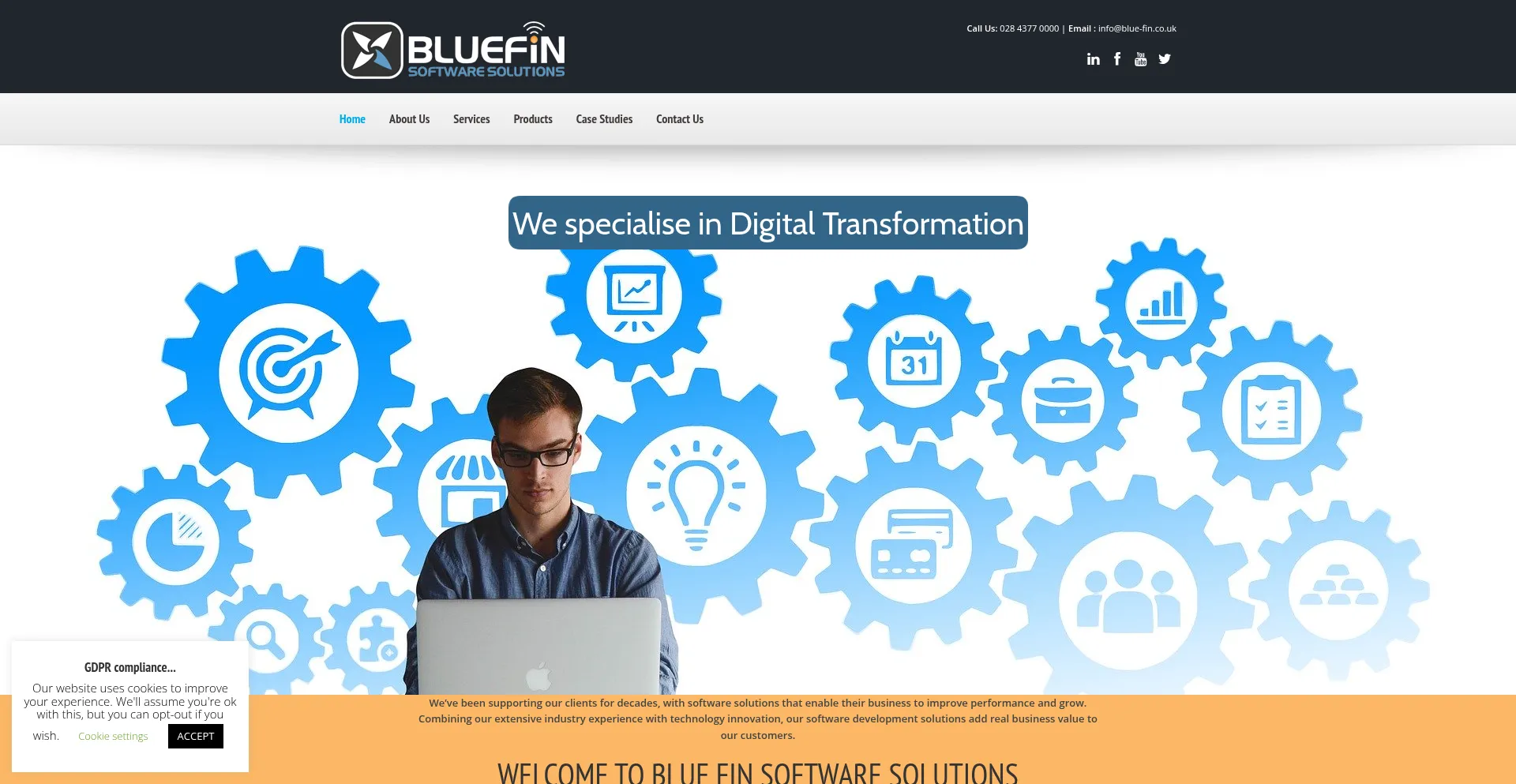 Website screenshot of Blue-fin.co.uk