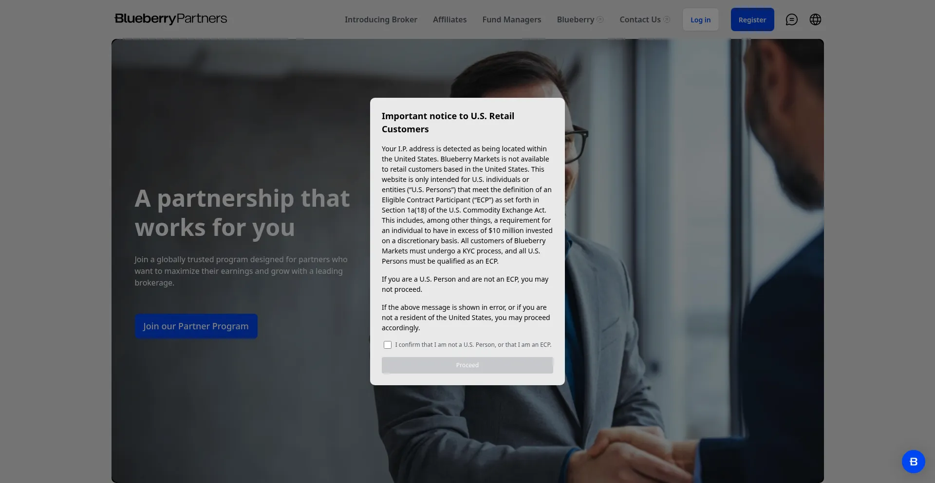 Website screenshot of Blueberrypartners.com