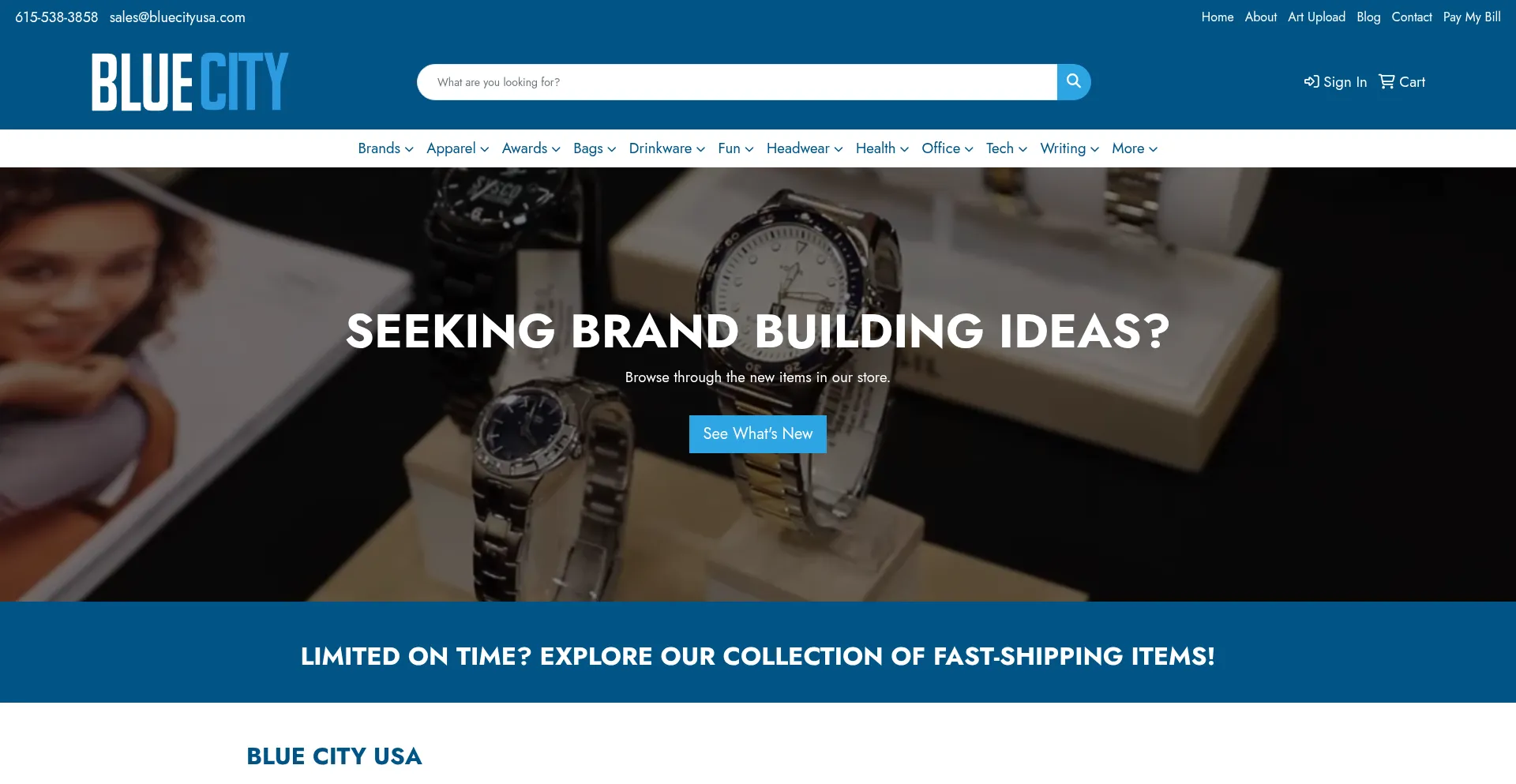 Website screenshot of Bluecityusa.com