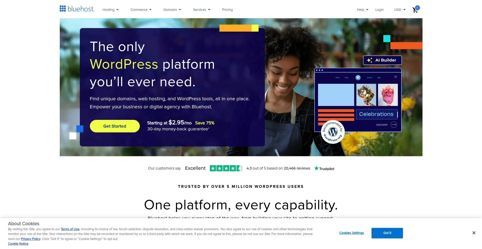 Website screenshot of Bluehost.com