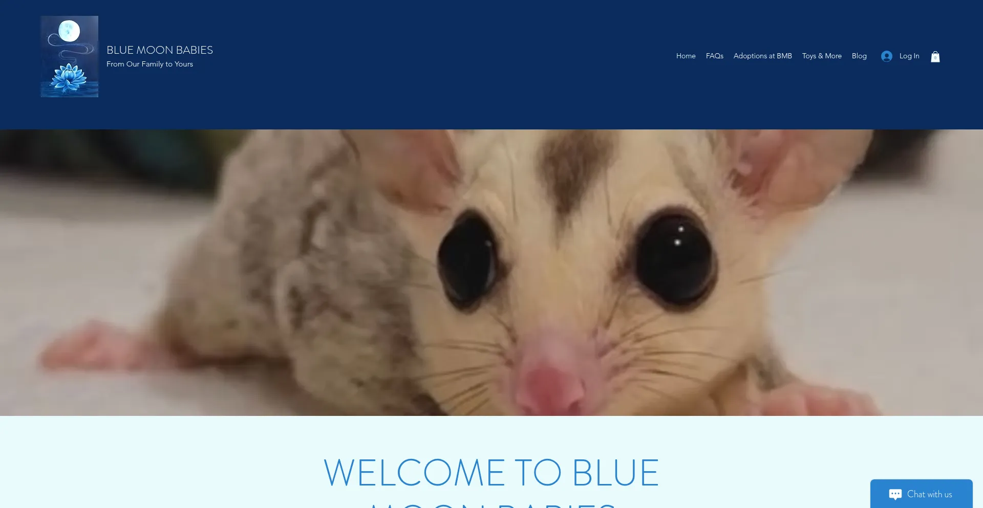 Is Bluemoonbabies.com Safe?