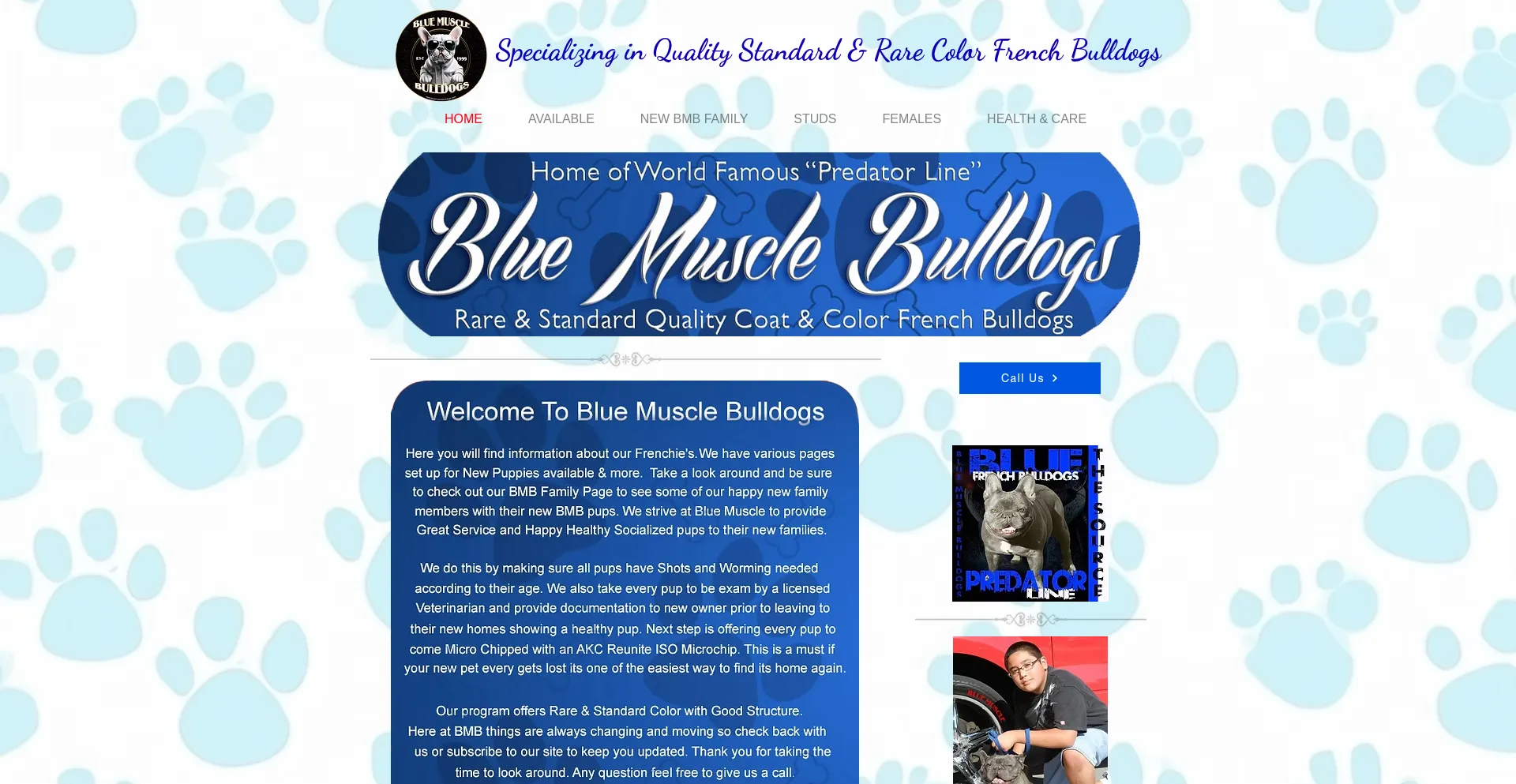 Website screenshot of Bluemusclebulldogs.com