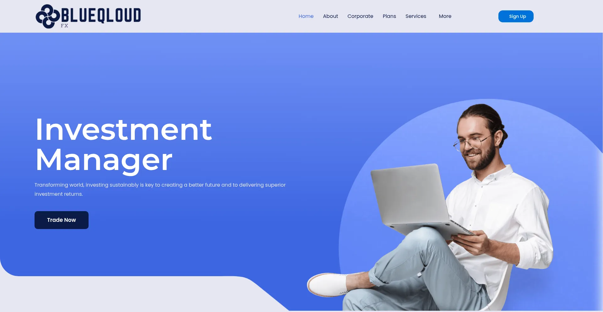 Website screenshot of Blueqloudfx.com