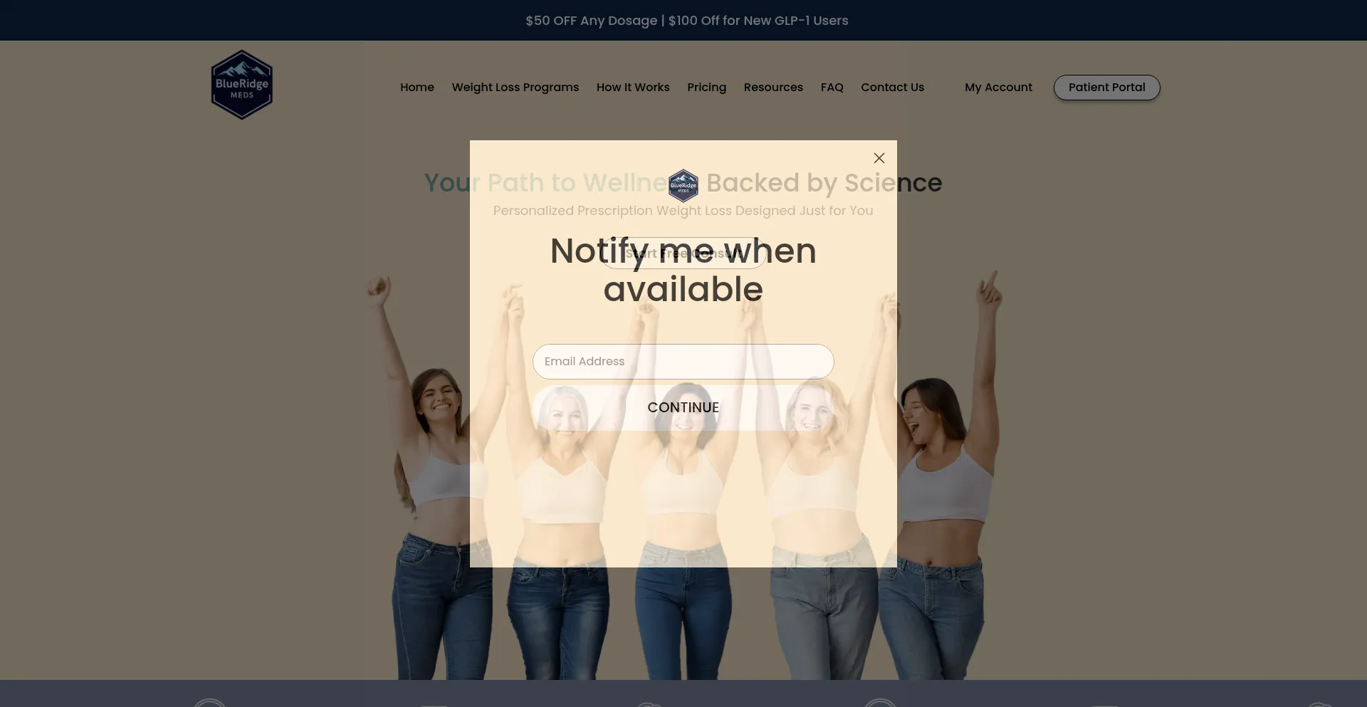 Website screenshot of Blueridgemeds.com