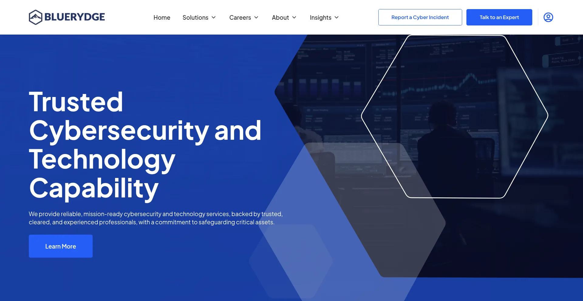 Website screenshot of Bluerydge.com