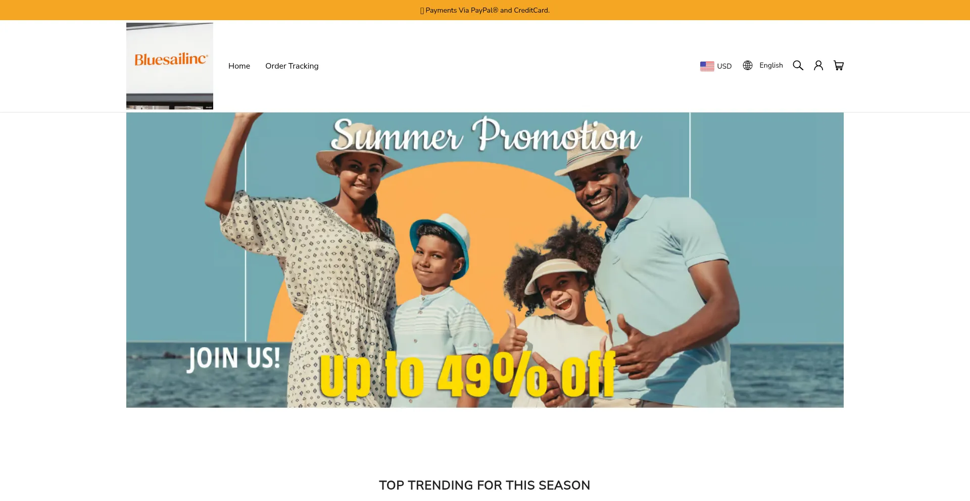 Website screenshot of Bluesailinc.com