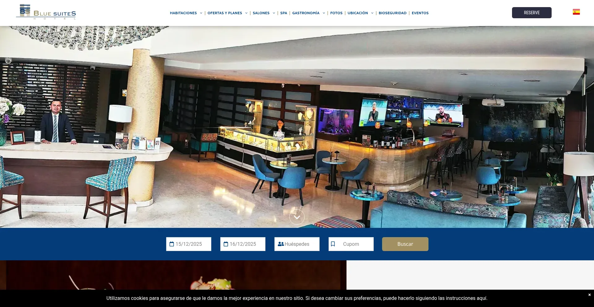 Bluesuiteshotel.com