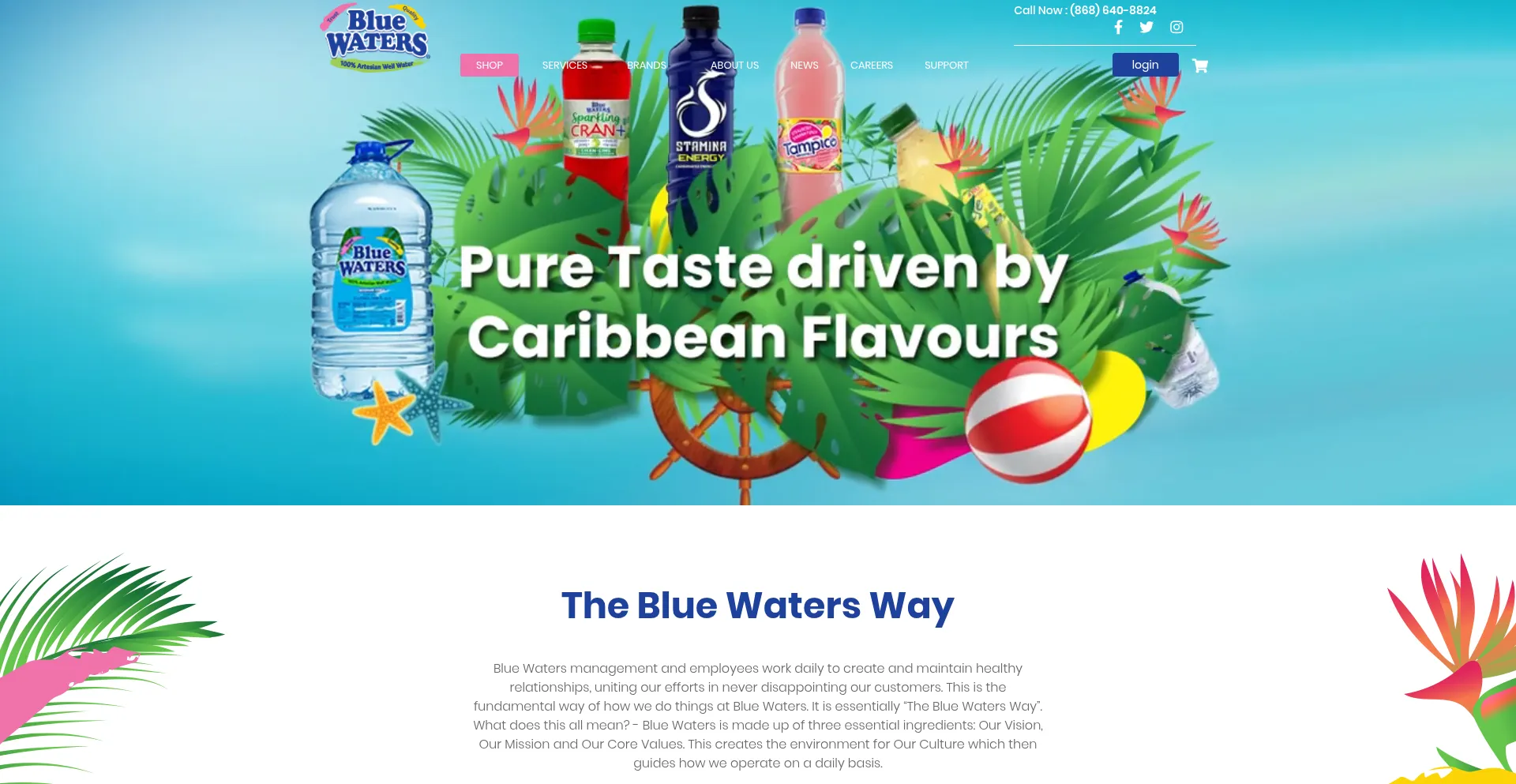 Bluewaterstt.com Screenshot
