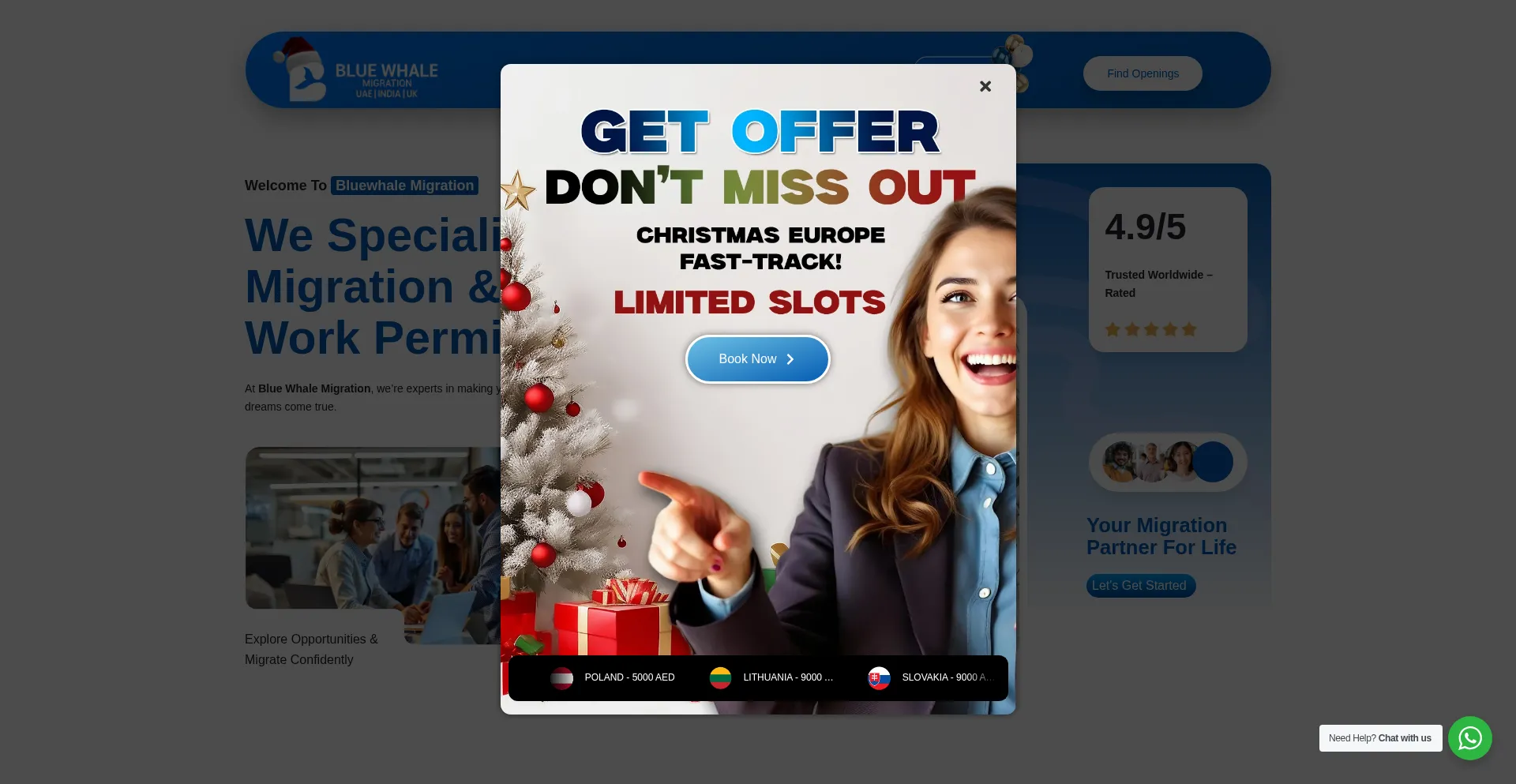 Bluewhalemigration.com