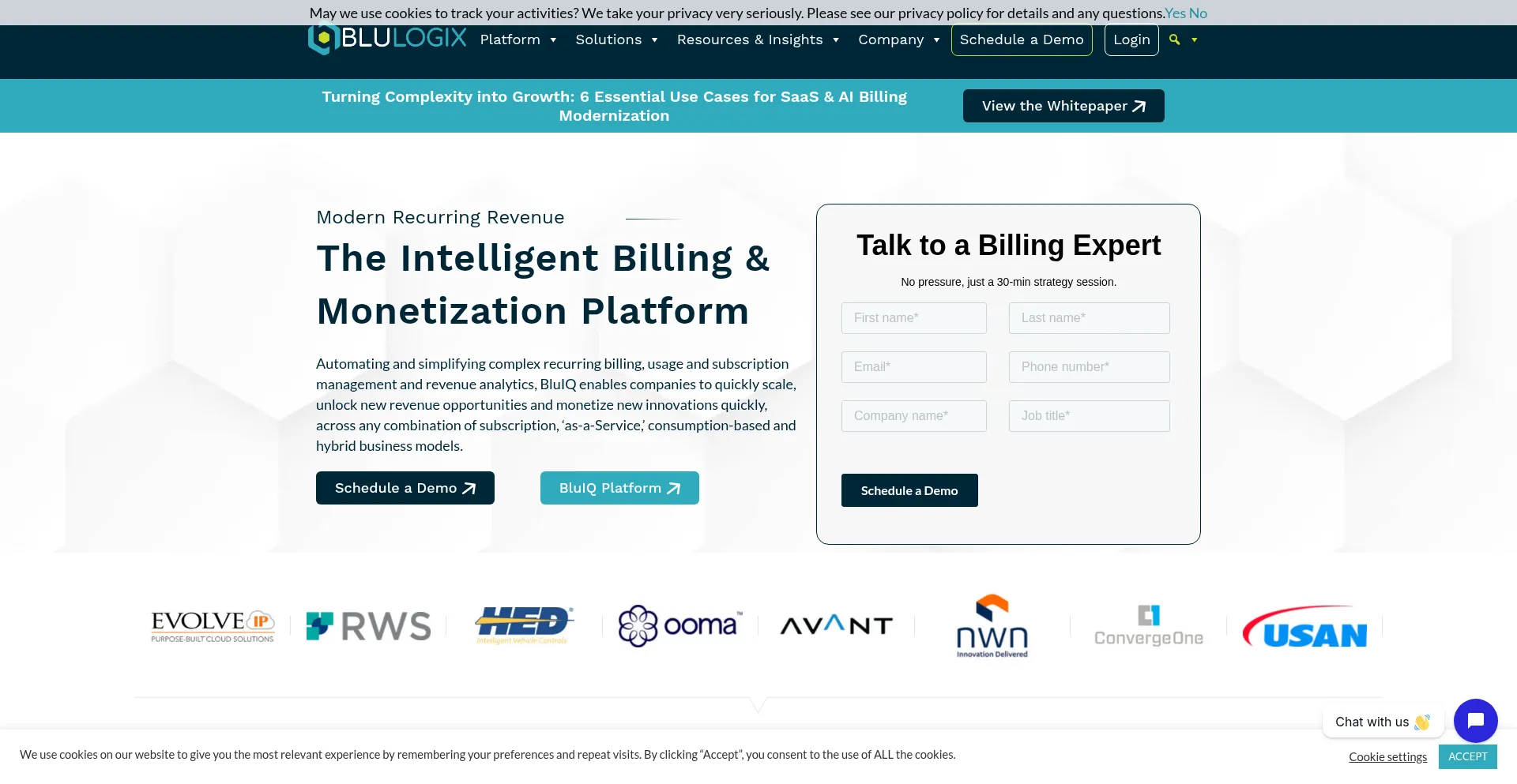 Website screenshot of Blulogix.com