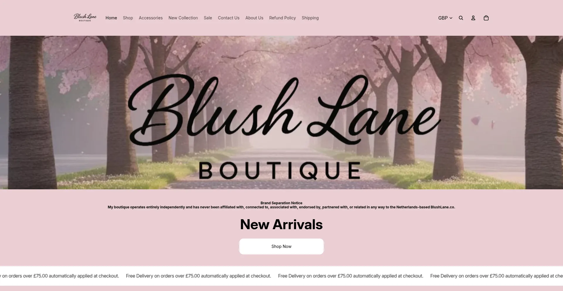 Blushlaneboutique.co.uk