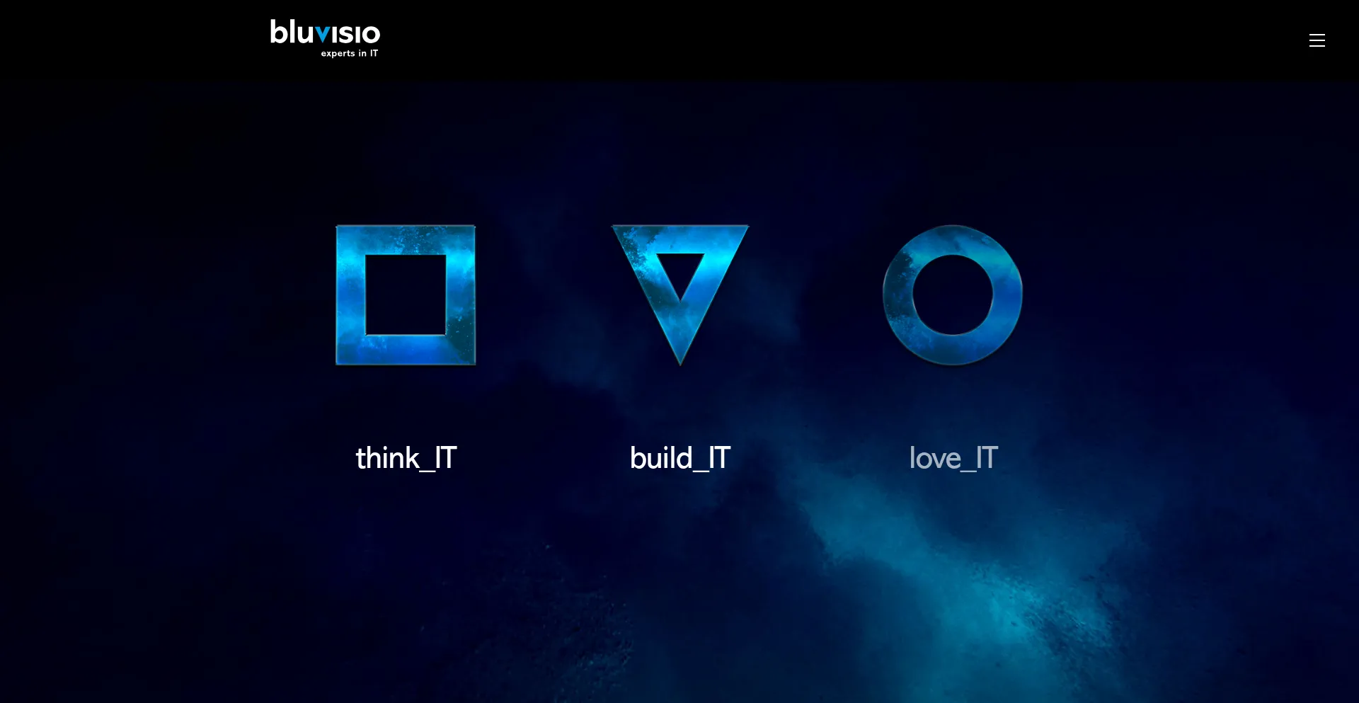 Bluvisio.de
