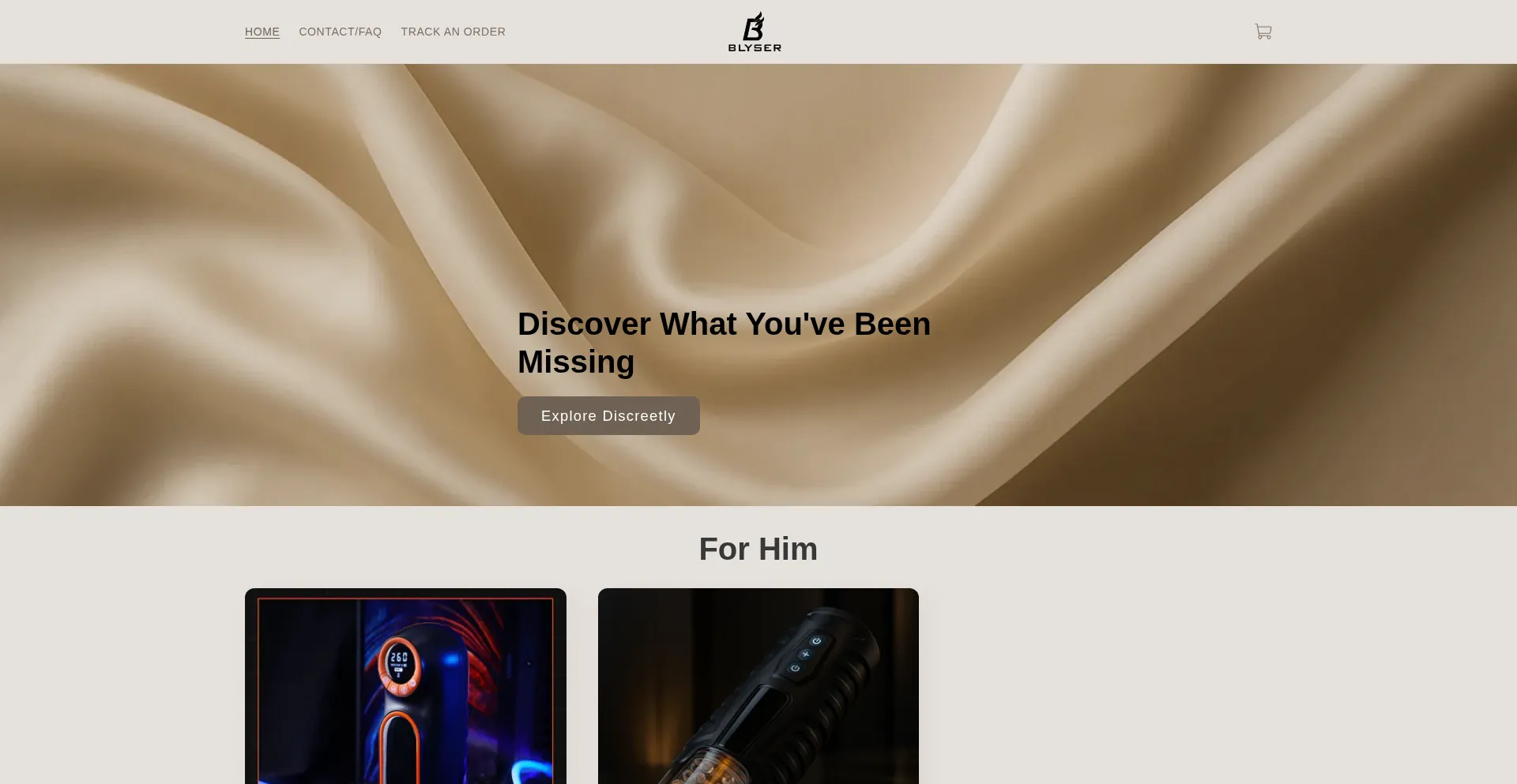 Website screenshot of Blyserco.com