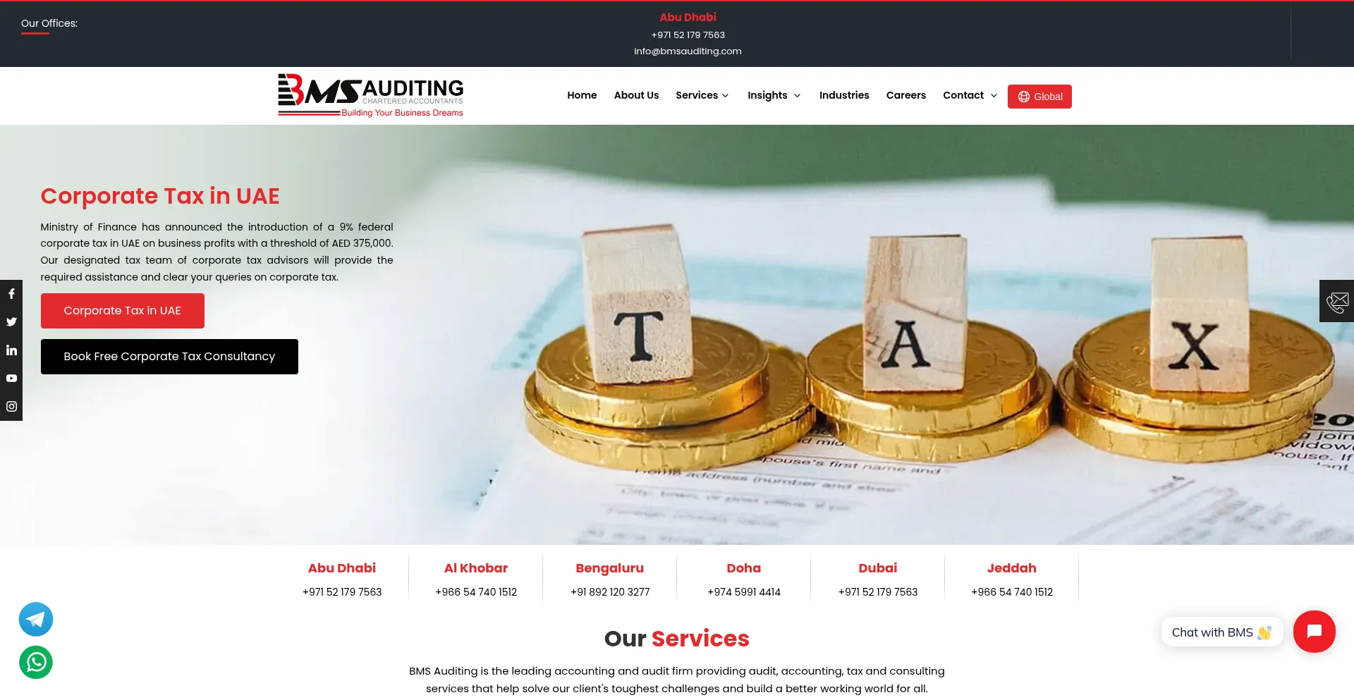Website screenshot of Bmsauditing.com