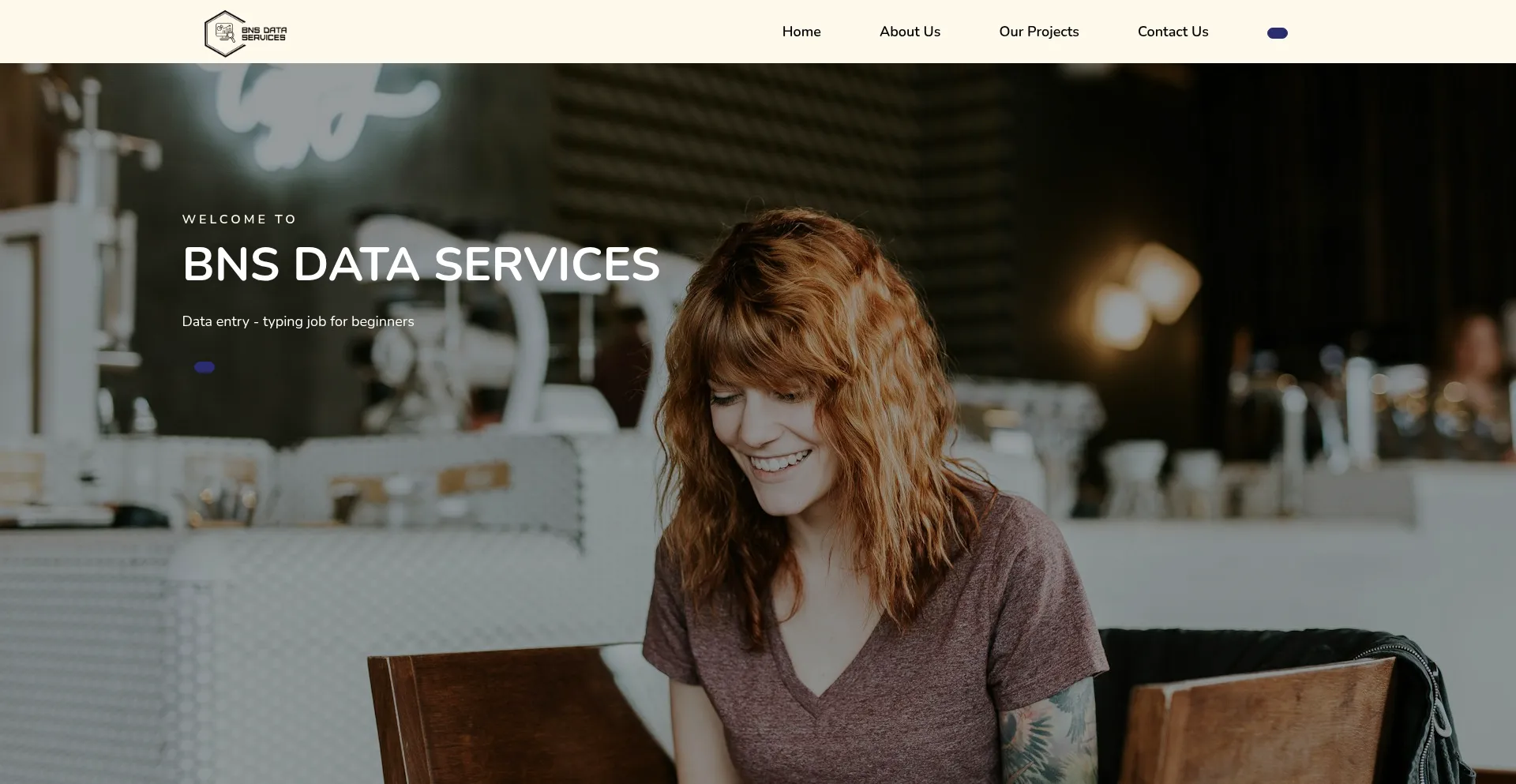 Website screenshot of Bnsdataservices.com