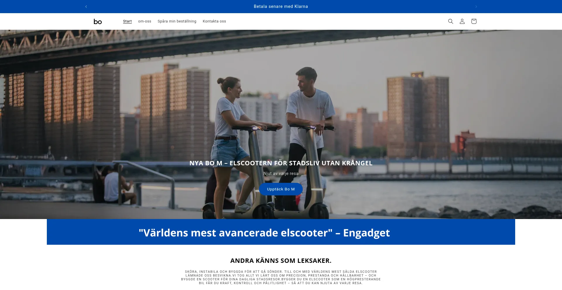 Website screenshot of Bo-se.store