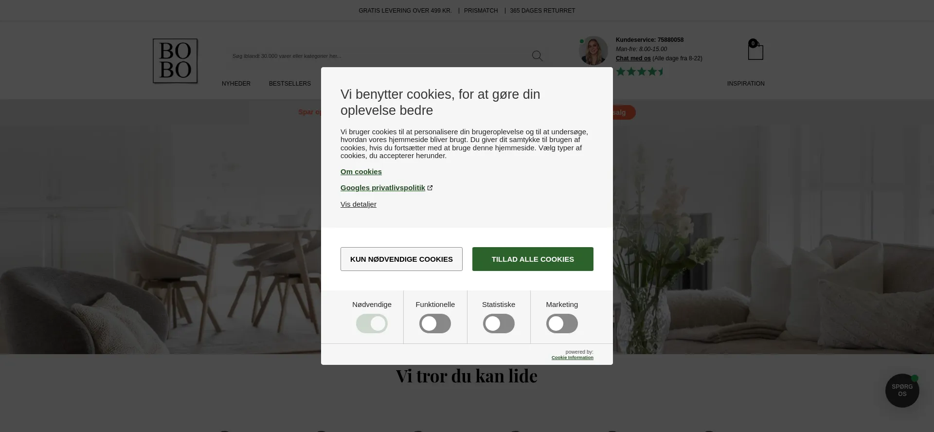 Website screenshot of Boboonline.dk