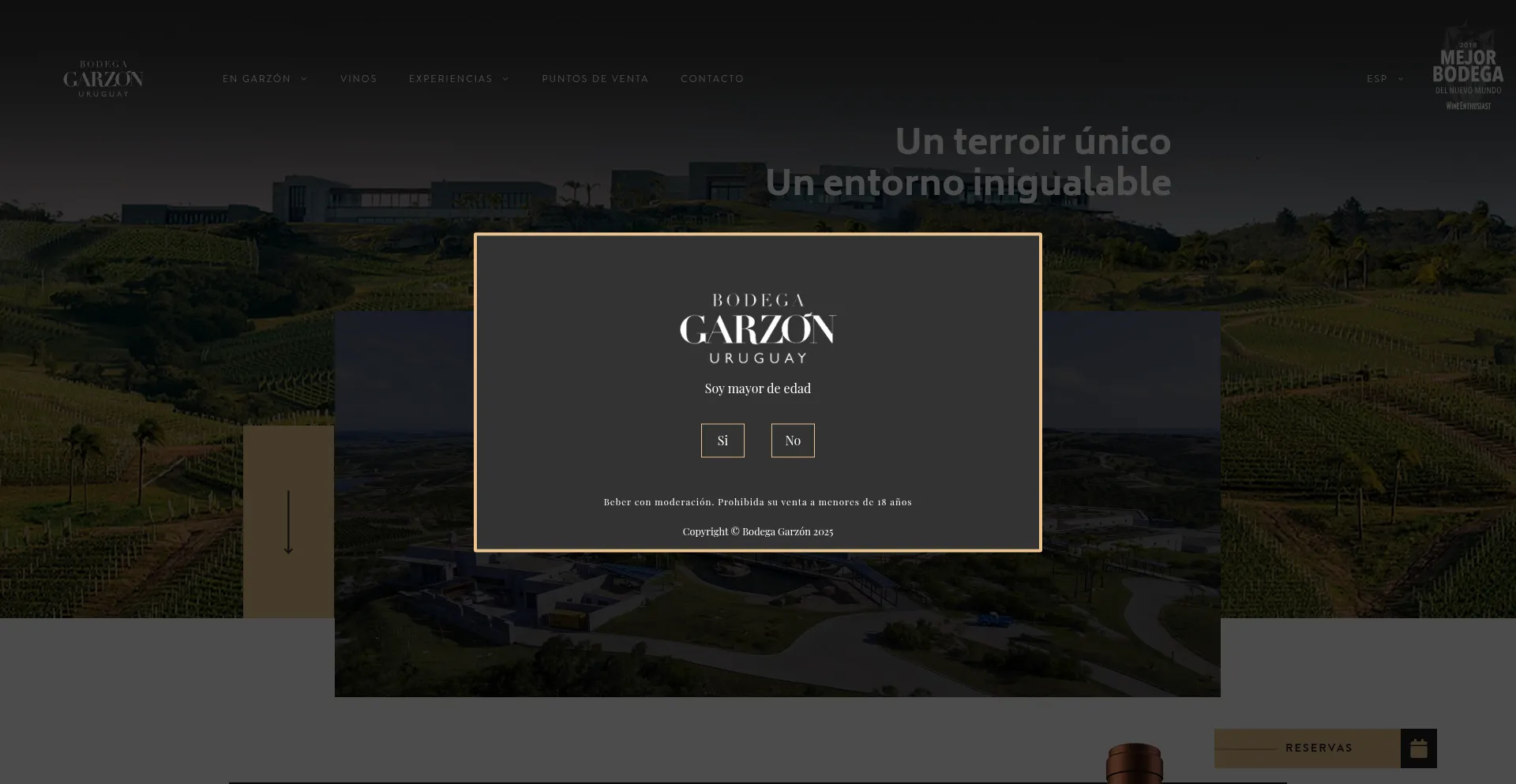 Bodegagarzon.com