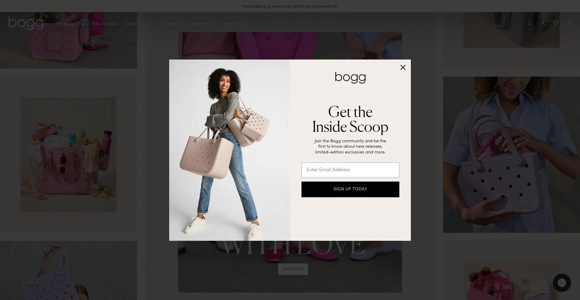 Website screenshot of Boggbag.com
