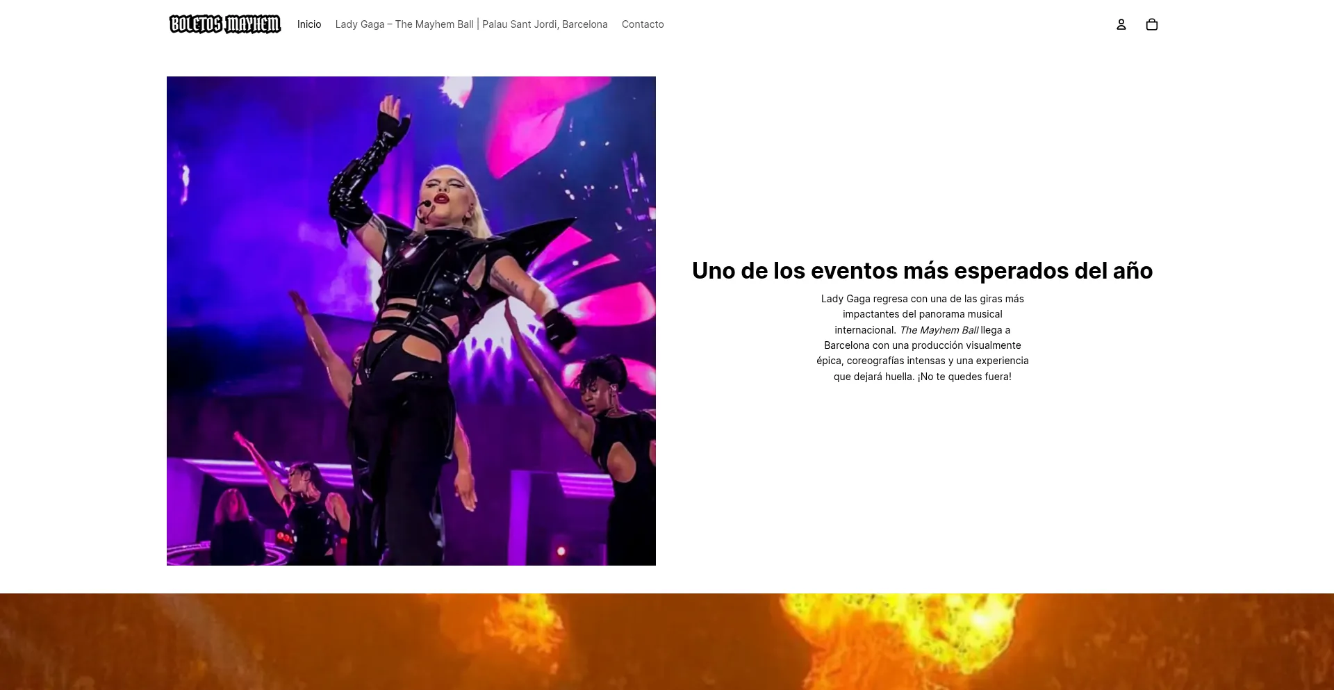 Website screenshot of Boletosmayhem.com
