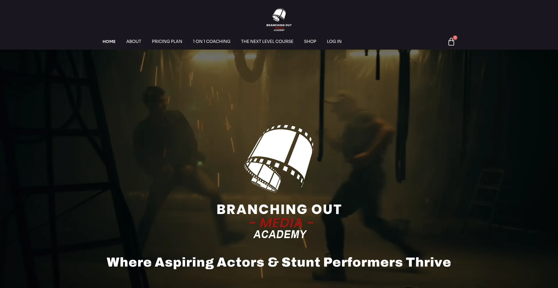 Website screenshot of Bomacademy.com